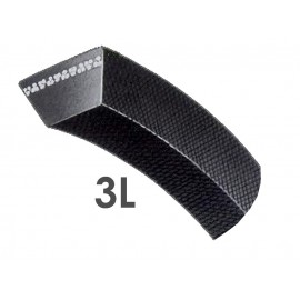 CORREA 3L-476